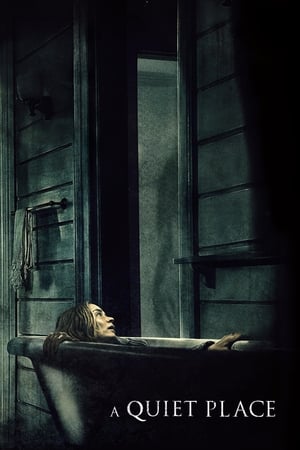 A Quiet Place 2018 Hindi Dual Audio 480p BluRay 300MB