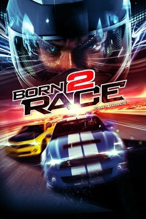 Born to Race Fast Track 2014 Hindi Dual Audio 480p BluRay 320MB