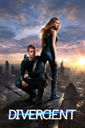 Divergent (2014) Hindi Dual Audio 480p BluRay 450MB