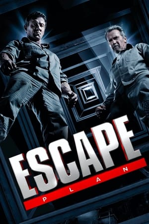 Escape Plan (2013) Hindi Dual Audio 720p BluRay [950MB]