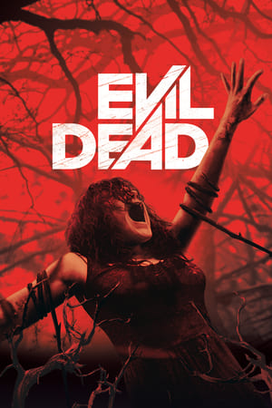 Evil Dead 2013 Hindi Dual Audio 480p BluRay 300MB