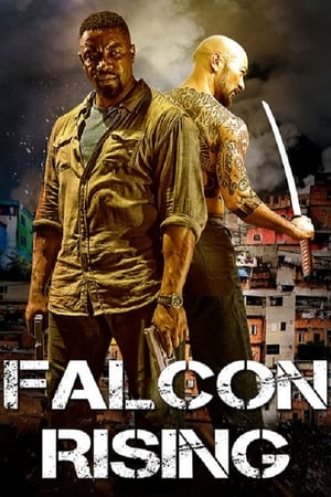 Falcon Rising (2014) Hindi Dual Audio 720p BluRay [980MB]