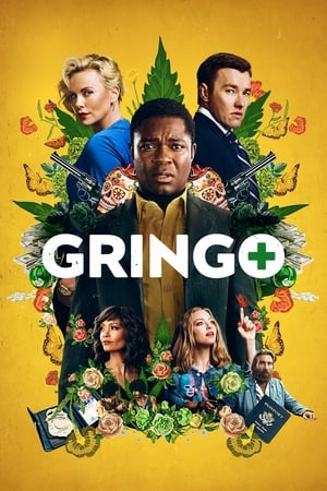 Gringo (2018) Hindi Dual Audio 720p BluRay [950MB]