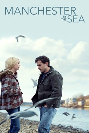 Manchester by the Sea 2016 Hindi Dual Audio 480p BluRay 400MB