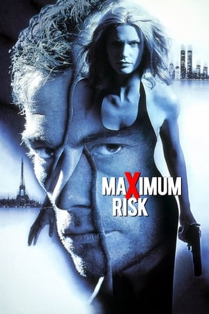 Maximum Risk (1996) Hindi Dual Audio 480p BluRay 330MB