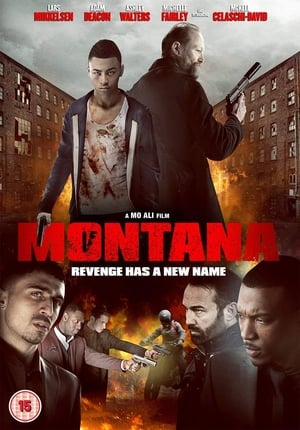Montana (2014) Hindi Dual Audio 720p BluRay [900MB]