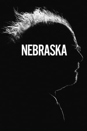 Nebraska 2013 Dual Audio Hindi 480p BluRay 300MB