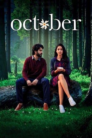 October (2018) Movie 480p BluRay - [300MB]