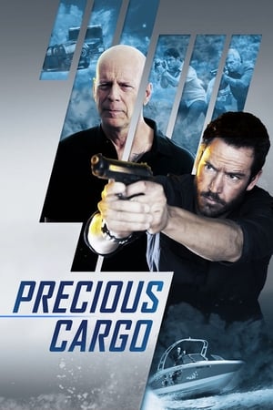 Precious Cargo (2016) Hindi Dual Audio 480p BluRay 300MB
