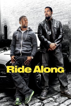 Ride Along (2014) Hindi Dual Audio 480p BluRay 300MB
