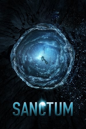 Sanctum (2011) Hindi Dual Audio 720p BluRay [750MB]