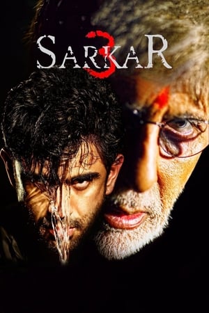 Sarkar 3 2017 350MB Full Movie 480p DVDRip Download