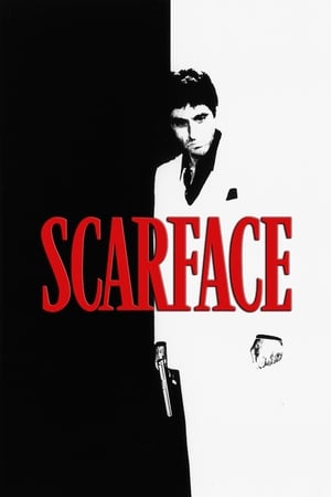 Scarface (1983) Dual Audio Hindi 480p BluRay 500MB