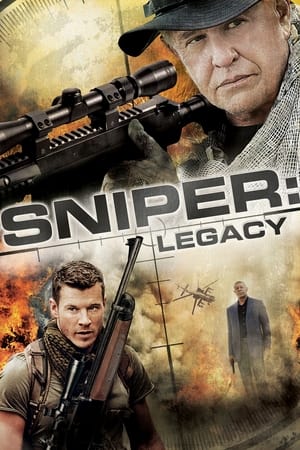 Sniper: Legacy (2014) Hindi Dual Audio 480p BluRay 300MB
