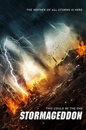 Stormageddon (2015) Hindi Dual Audio 720p BluRay [1.1GB]