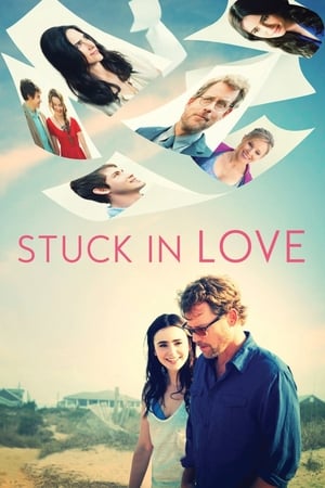 Stuck in Love (2012) Hindi Dual Audio 480p BluRay 300MB