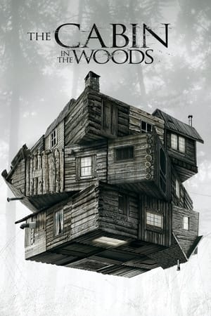 The Cabin in the Woods 2012 Dual Audio Hindi 480p BluRay 300MB ESubs