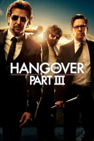 The Hangover Part III (2013) Hindi Dual Audio 720p BluRay [850MB]