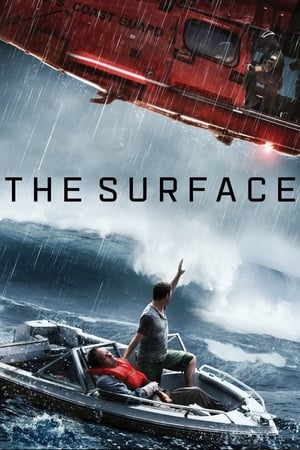 The Surface (2014) Hindi Dual Audio 720p Web-DL [800MB]