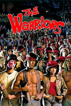 The Warriors 1979 Hindi Dual Audio 480p BluRay 300MB