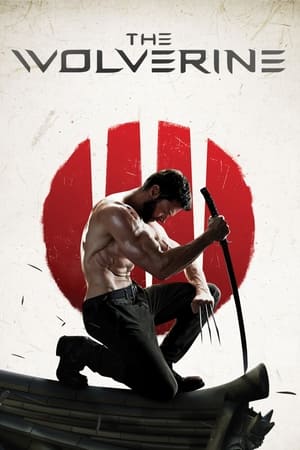 The Wolverine (2013) Hindi Dual Audio 480p BluRay 430MB