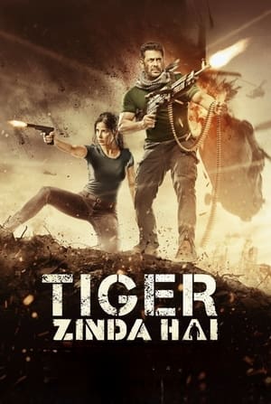 Tiger Zinda Hai 2017 490MB Movie 480p BluRay Download